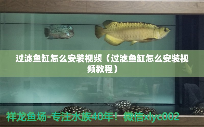 過濾魚缸怎么安裝視頻（過濾魚缸怎么安裝視頻教程）