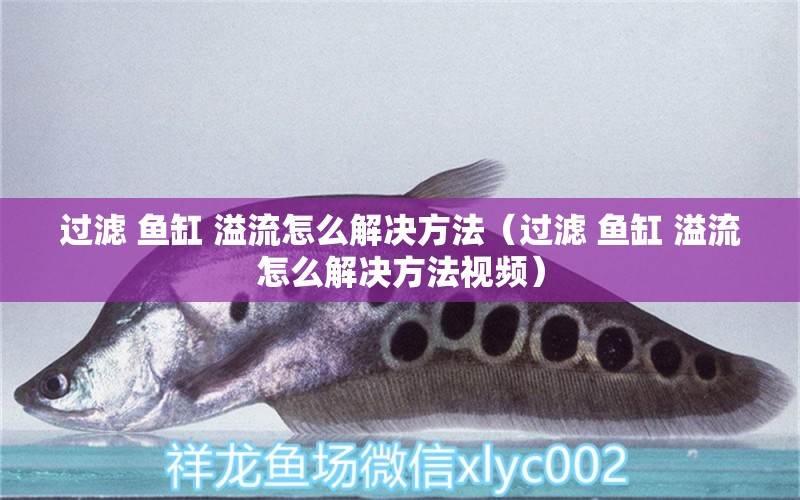 過濾 魚缸 溢流怎么解決方法（過濾 魚缸 溢流怎么解決方法視頻）