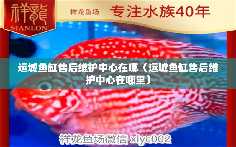 運(yùn)城魚(yú)缸售后維護(hù)中心在哪（運(yùn)城魚(yú)缸售后維護(hù)中心在哪里）