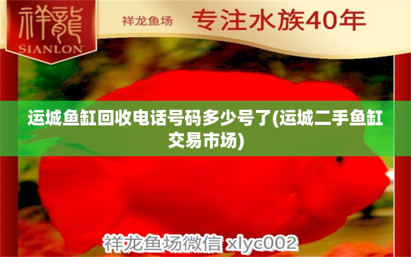 運城魚缸回收電話號碼多少號了(運城二手魚缸交易市場) 恐龍王魚 第1張