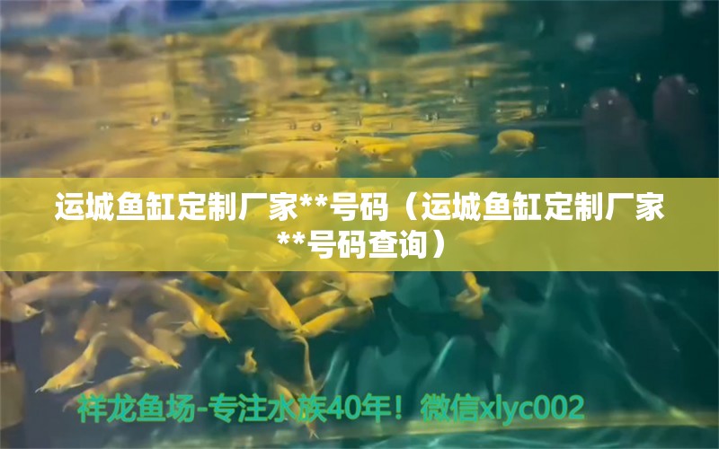 運城魚缸定制廠家**號碼（運城魚缸定制廠家**號碼查詢） 祥龍水族醫(yī)院