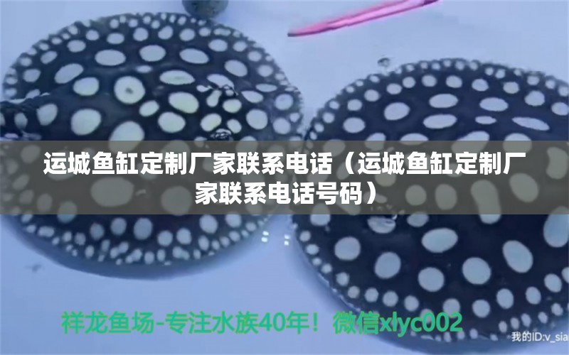 運(yùn)城魚缸定制廠家聯(lián)系電話（運(yùn)城魚缸定制廠家聯(lián)系電話號(hào)碼）