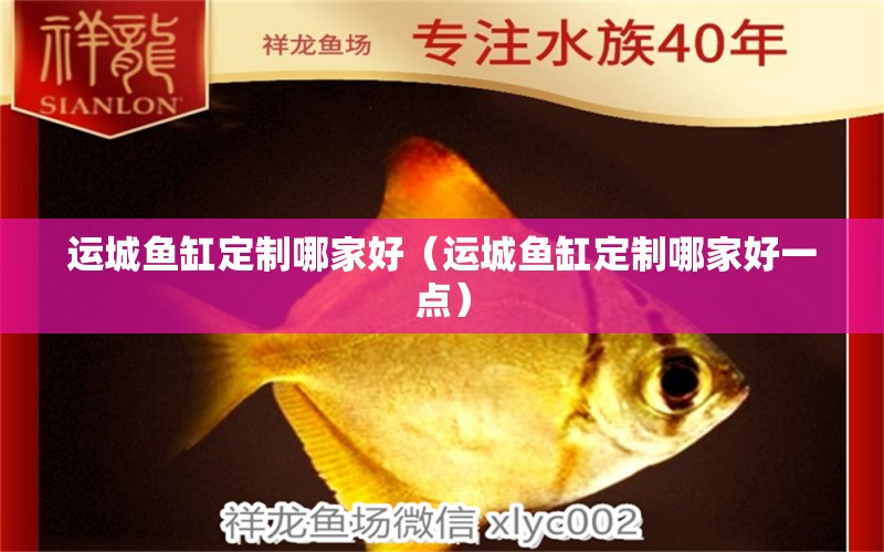 運城魚缸定制哪家好（運城魚缸定制哪家好一點） 其他品牌魚缸