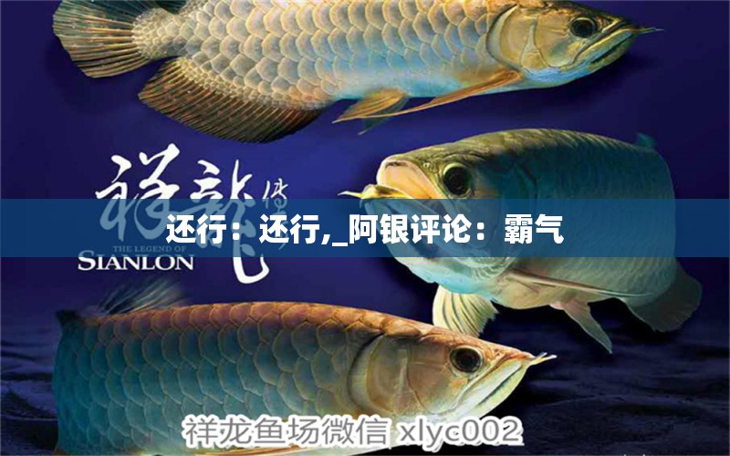 還行：還行,_阿銀評論：霸氣 觀賞魚論壇 第2張