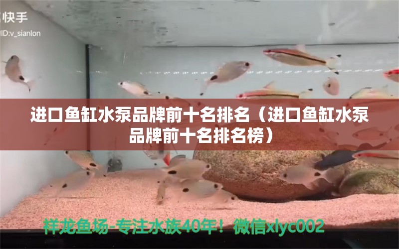 進口魚缸水泵品牌前十名排名（進口魚缸水泵品牌前十名排名榜）