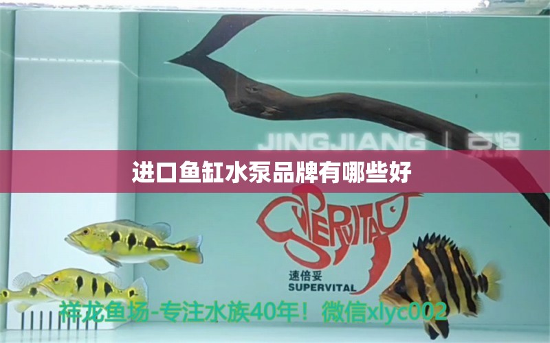 進口魚缸水泵品牌有哪些好 