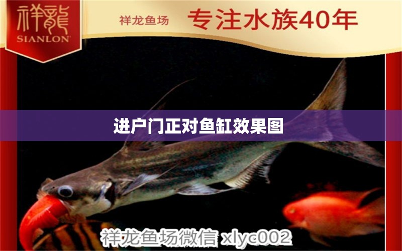 進(jìn)戶門正對魚缸效果圖  委內(nèi)瑞拉奧里諾三間魚