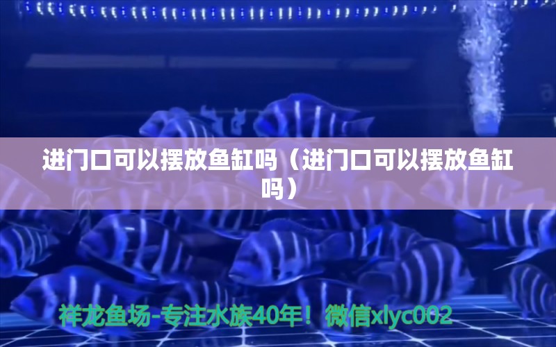 進門口可以擺放魚缸嗎（進門口可以擺放魚缸嗎）