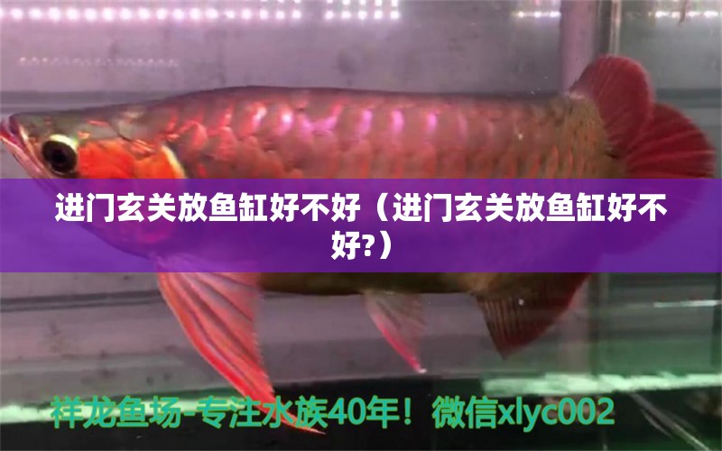 進(jìn)門(mén)玄關(guān)放魚(yú)缸好不好（進(jìn)門(mén)玄關(guān)放魚(yú)缸好不好?） 祥龍水族醫(yī)院