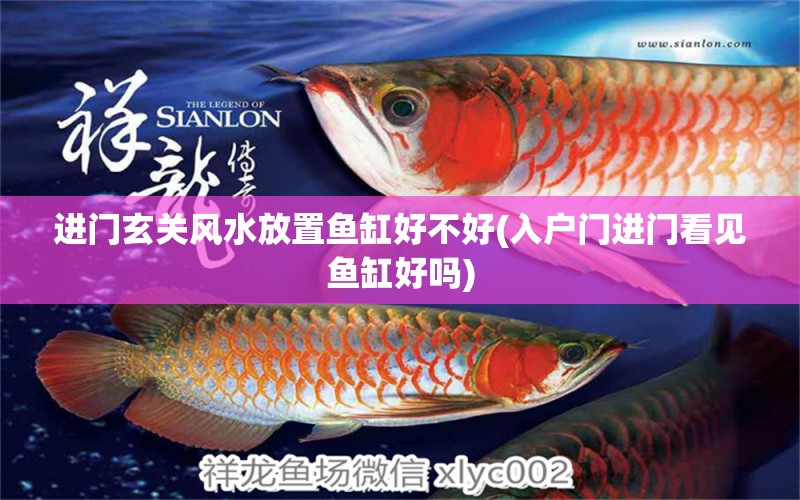 進門玄關(guān)風(fēng)水放置魚缸好不好(入戶門進門看見魚缸好嗎) 魚缸風(fēng)水