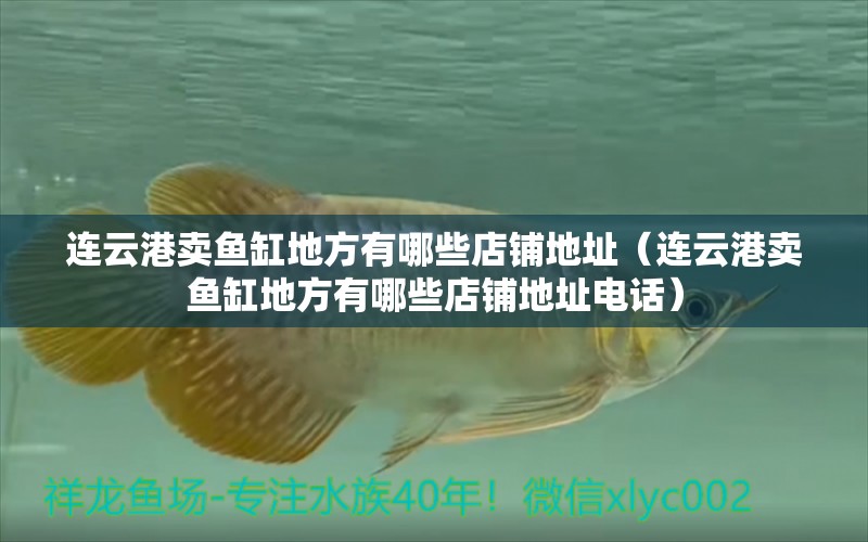 連云港賣魚缸地方有哪些店鋪地址（連云港賣魚缸地方有哪些店鋪地址電話） 暹羅巨鯉