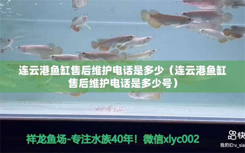 連云港魚(yú)缸售后維護(hù)電話是多少（連云港魚(yú)缸售后維護(hù)電話是多少號(hào)）