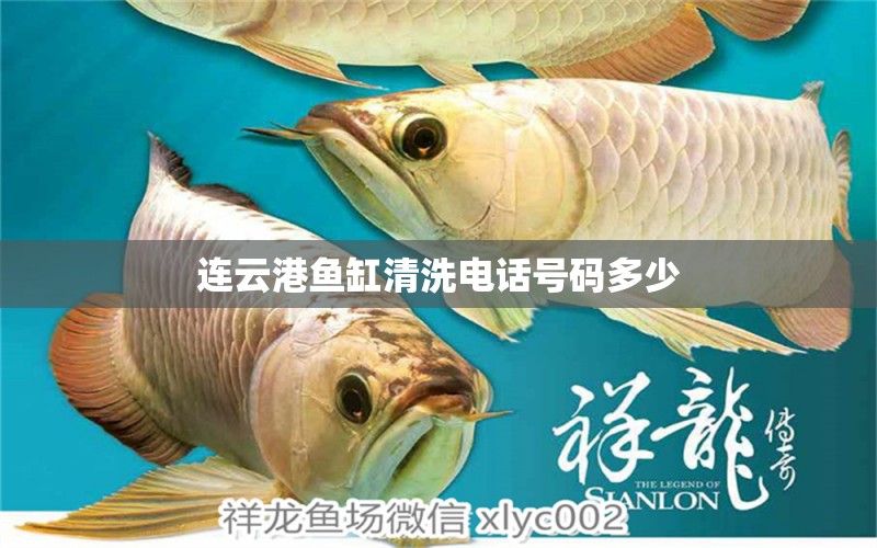 連云港魚缸清洗電話號(hào)碼多少 祥龍魚場