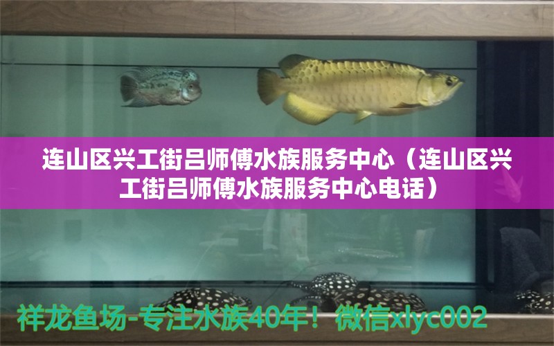 連山區(qū)興工街呂師傅水族服務(wù)中心（連山區(qū)興工街呂師傅水族服務(wù)中心電話）