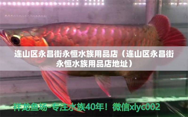 連山區(qū)永昌街永恒水族用品店（連山區(qū)永昌街永恒水族用品店地址） 水族用品