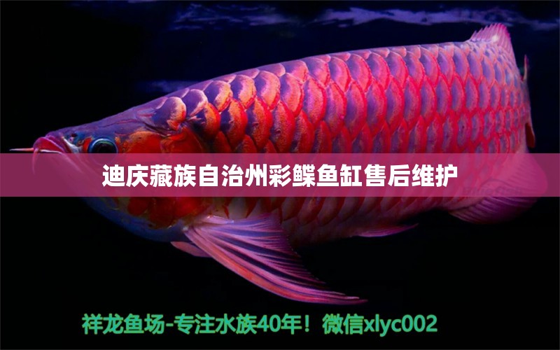 迪慶藏族自治州彩鰈魚缸售后維護 彩鰈魚缸（彩蝶魚缸）