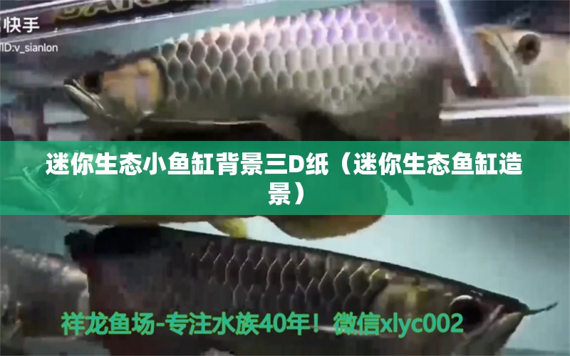 迷你生態(tài)小魚缸背景三D紙（迷你生態(tài)魚缸造景） 白寫錦鯉魚