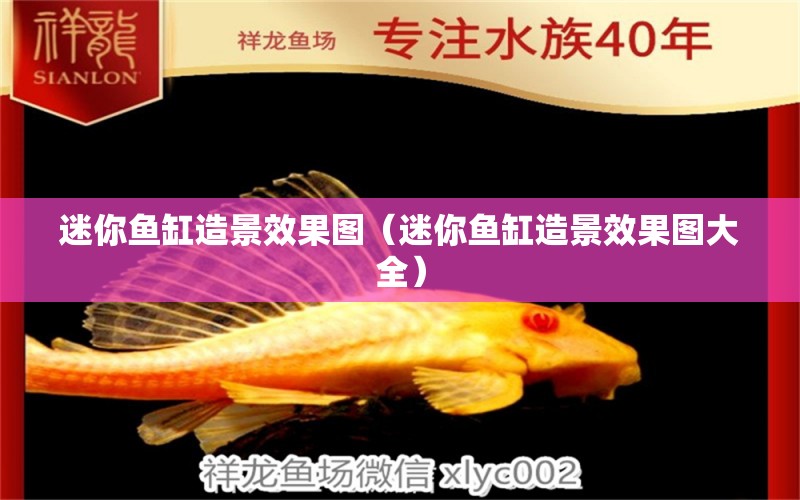 迷你魚缸造景效果圖（迷你魚缸造景效果圖大全）