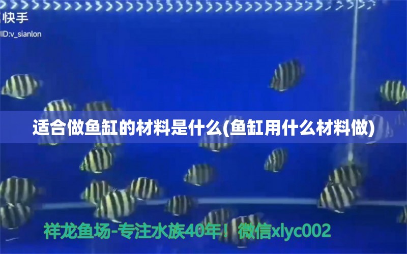 適合做魚缸的材料是什么(魚缸用什么材料做) 朱巴利魚苗