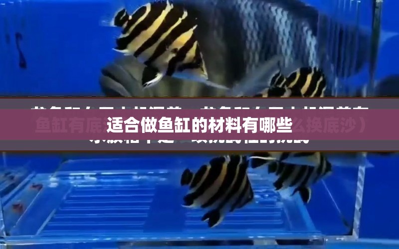 適合做魚缸的材料有哪些 水族問答 第1張