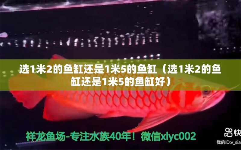 選1米2的魚缸還是1米5的魚缸（選1米2的魚缸還是1米5的魚缸好）