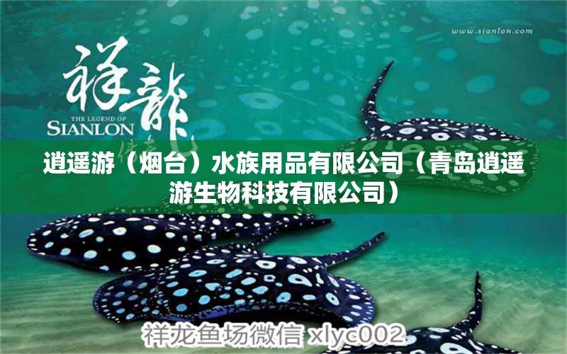 逍遙游（煙臺）水族用品有限公司（青島逍遙游生物科技有限公司） 水族用品