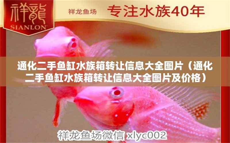 通化二手魚缸水族箱轉讓信息大全圖片（通化二手魚缸水族箱轉讓信息大全圖片及價格）