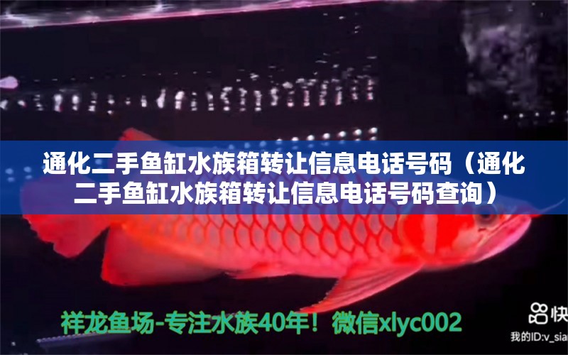 通化二手魚缸水族箱轉(zhuǎn)讓信息電話號碼（通化二手魚缸水族箱轉(zhuǎn)讓信息電話號碼查詢） 魚缸/水族箱