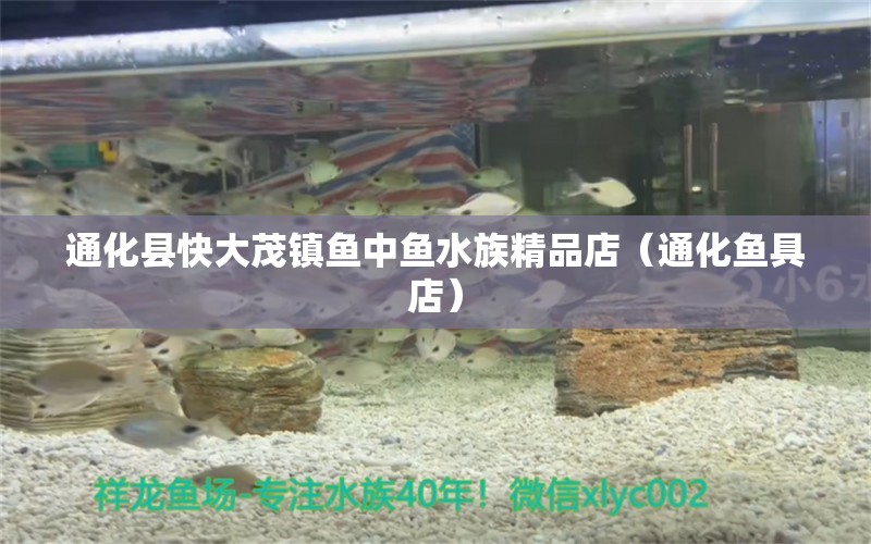 通化縣快大茂鎮(zhèn)魚(yú)中魚(yú)水族精品店（通化魚(yú)具店） 全國(guó)水族館企業(yè)名錄