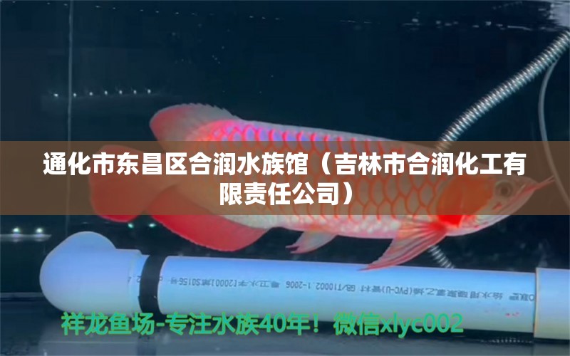 通化市東昌區(qū)合潤水族館（吉林市合潤化工有限責(zé)任公司）