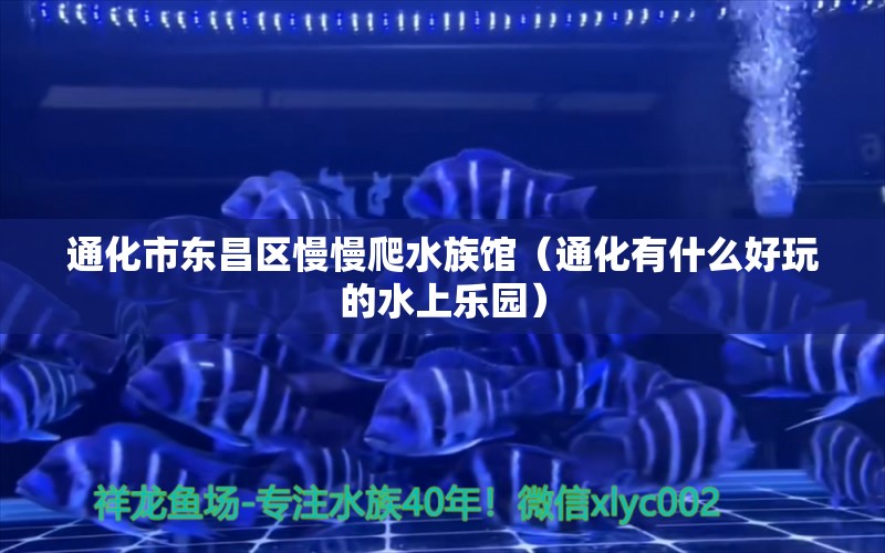 通化市東昌區(qū)慢慢爬水族館（通化有什么好玩的水上樂園）