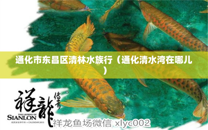 通化市東昌區(qū)清林水族行（通化清水灣在哪兒）