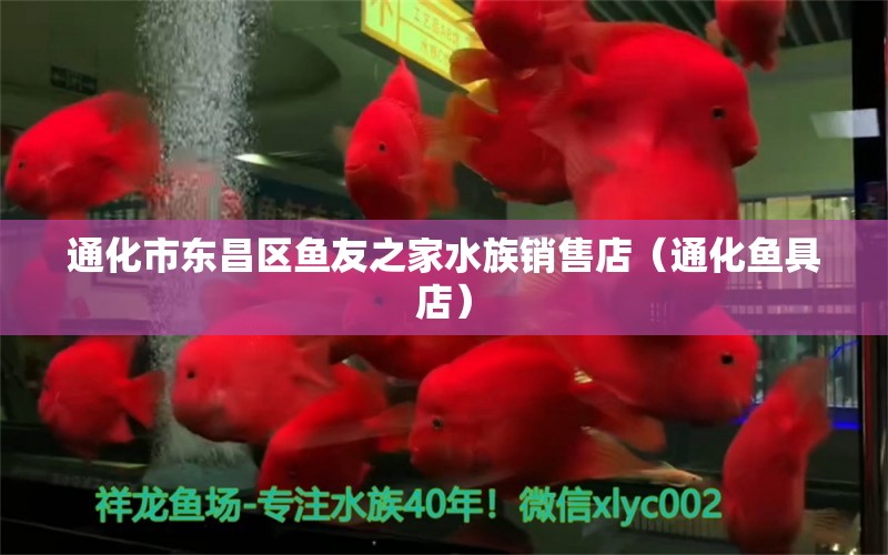 通化市東昌區(qū)魚友之家水族銷售店（通化魚具店）