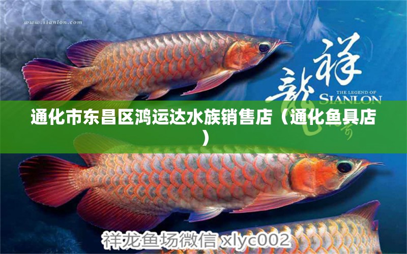 通化市東昌區(qū)鴻運(yùn)達(dá)水族銷售店（通化魚具店）