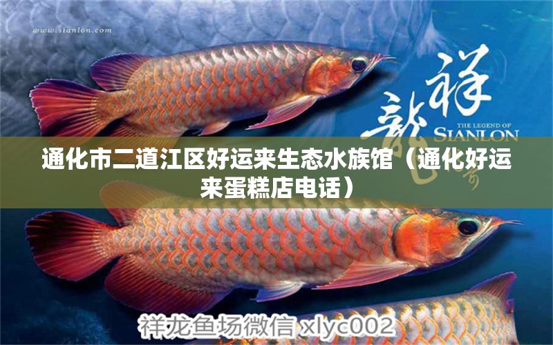 通化市二道江區(qū)好運(yùn)來生態(tài)水族館（通化好運(yùn)來蛋糕店電話） 全國水族館企業(yè)名錄