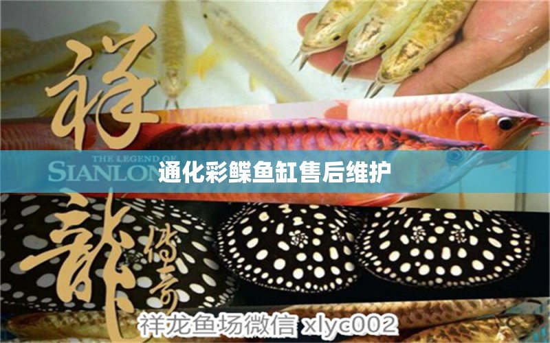 通化彩鰈魚缸售后維護(hù) 彩鰈魚缸（彩蝶魚缸）