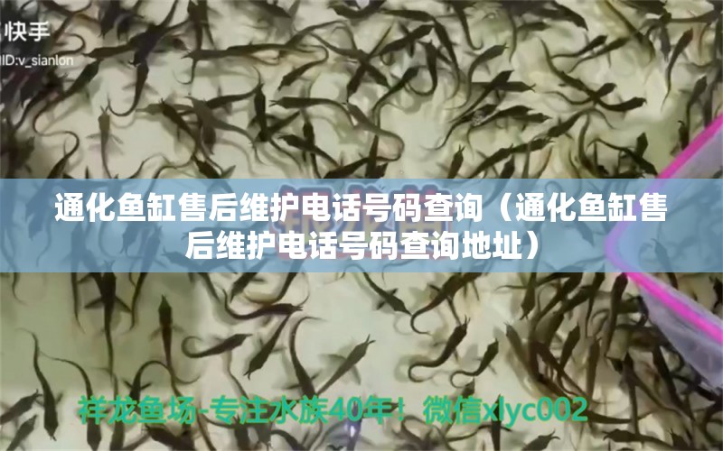 通化魚缸售后維護(hù)電話號(hào)碼查詢（通化魚缸售后維護(hù)電話號(hào)碼查詢地址）