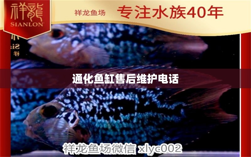 通化魚缸售后維護(hù)電話