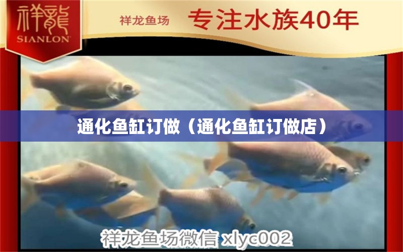 通化魚缸訂做（通化魚缸訂做店） 廣州龍魚批發(fā)市場