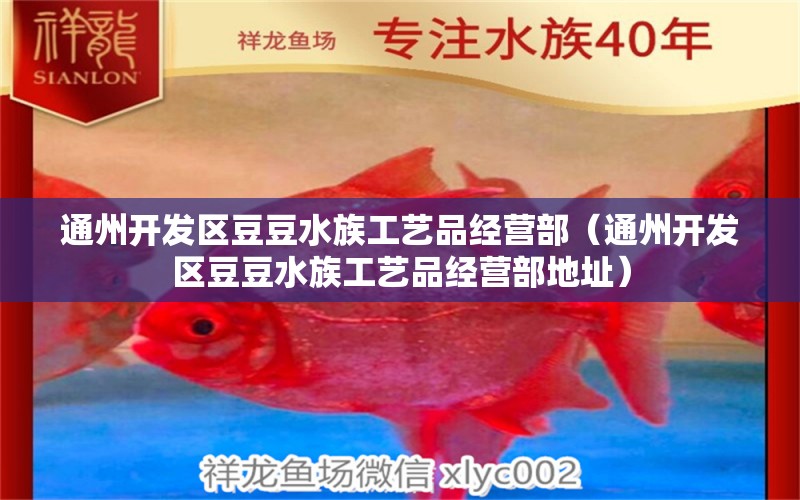 通州開發(fā)區(qū)豆豆水族工藝品經(jīng)營部（通州開發(fā)區(qū)豆豆水族工藝品經(jīng)營部地址）