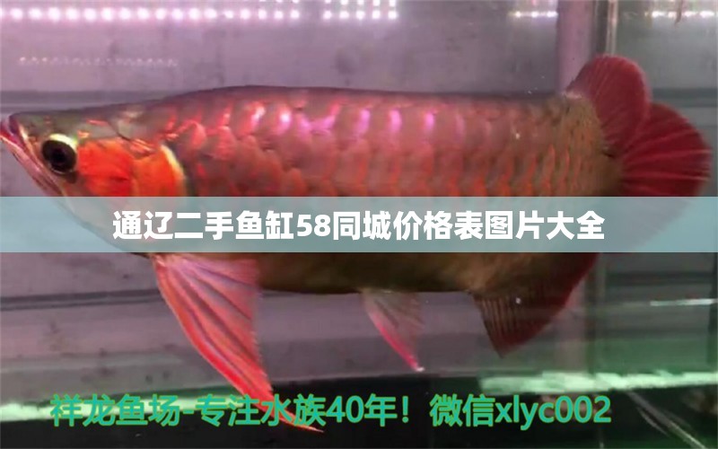 通遼二手魚缸58同城價(jià)格表圖片大全