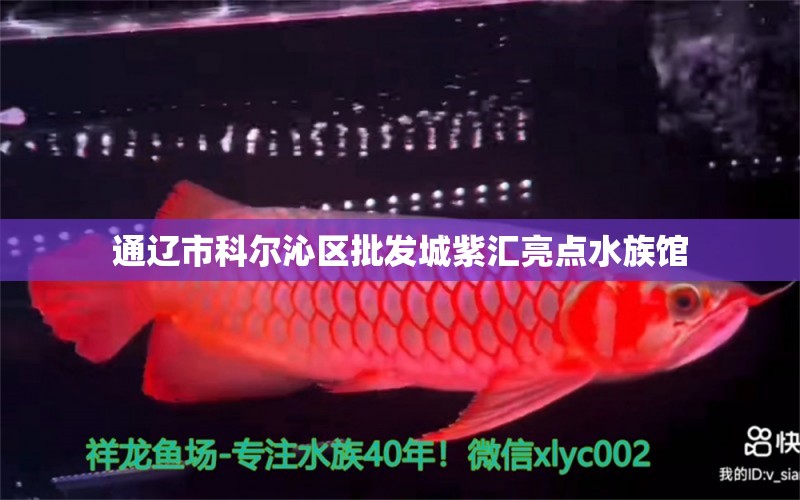 通遼市科爾沁區(qū)批發(fā)城紫匯亮點水族館 全國水族館企業(yè)名錄