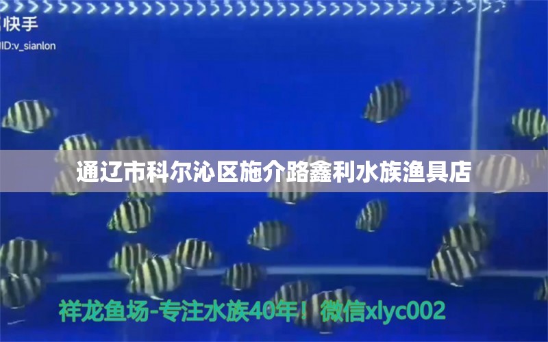 通遼市科爾沁區(qū)施介路鑫利水族漁具店 全國(guó)水族館企業(yè)名錄