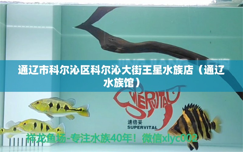 通遼市科爾沁區(qū)科爾沁大街王星水族店（通遼水族館） 全國水族館企業(yè)名錄