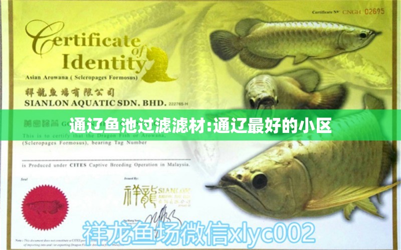 通遼魚池過濾濾材:通遼最好的小區(qū) 廣州水族器材濾材批發(fā)市場(chǎng)