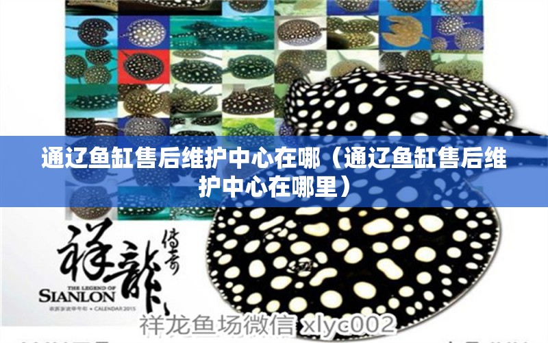 通遼魚缸售后維護(hù)中心在哪（通遼魚缸售后維護(hù)中心在哪里） 其他品牌魚缸