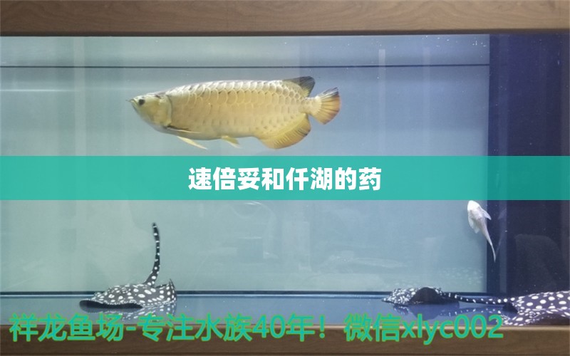 速倍妥和仟湖的藥