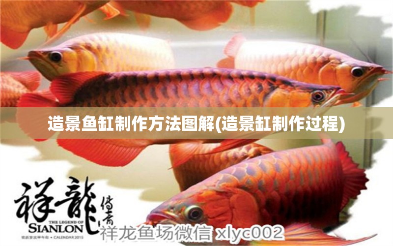 造景魚缸制作方法圖解(造景缸制作過(guò)程) 金頭過(guò)背金龍魚