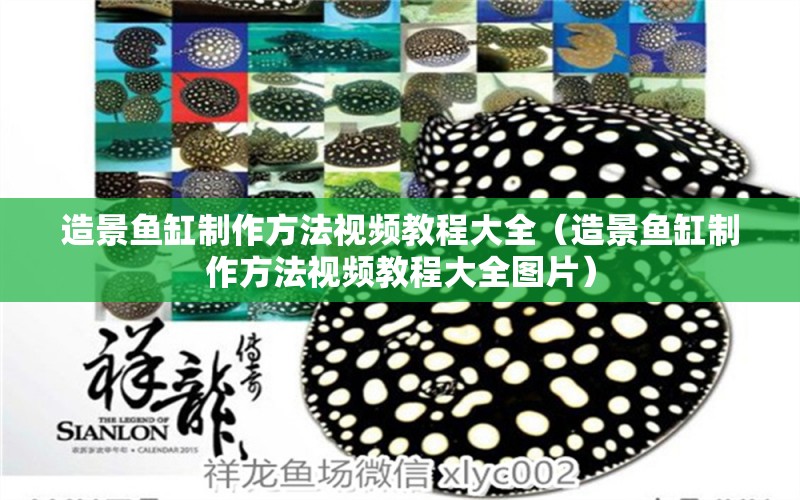 造景魚缸制作方法視頻教程大全（造景魚缸制作方法視頻教程大全圖片） 鐵甲武士