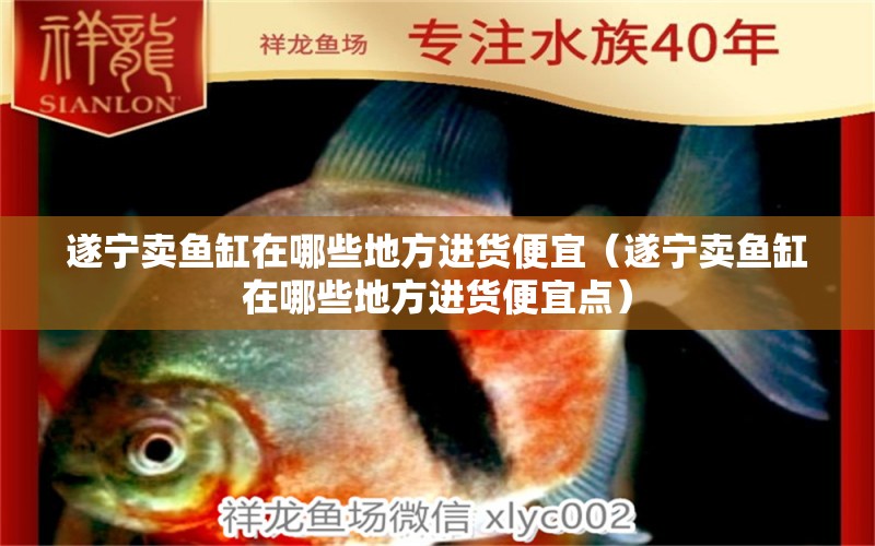 遂寧賣魚缸在哪些地方進(jìn)貨便宜（遂寧賣魚缸在哪些地方進(jìn)貨便宜點(diǎn)）